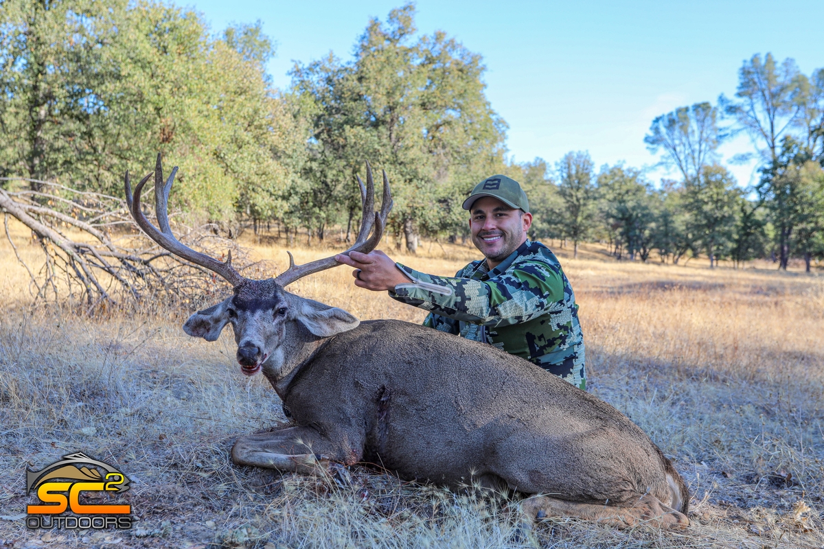 Blacktail Deer Hunting (California) Photo